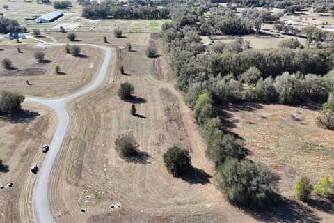 Terreno en venta en Ocala, Florida № 2143542 - foto 6
