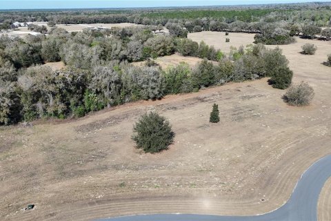 Terreno en venta en Ocala, Florida № 2143542 - foto 8