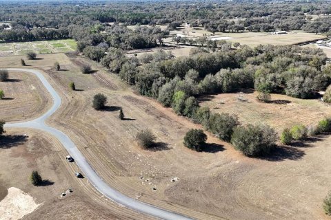 Terreno en venta en Ocala, Florida № 2143542 - foto 7