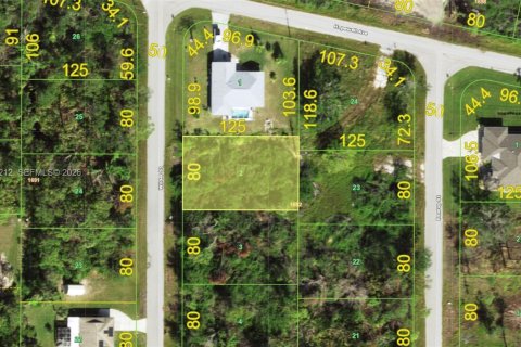 Land in Port Charlotte, Florida № 2158534 - photo 1