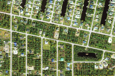 Land in Port Charlotte, Florida № 2158534 - photo 2