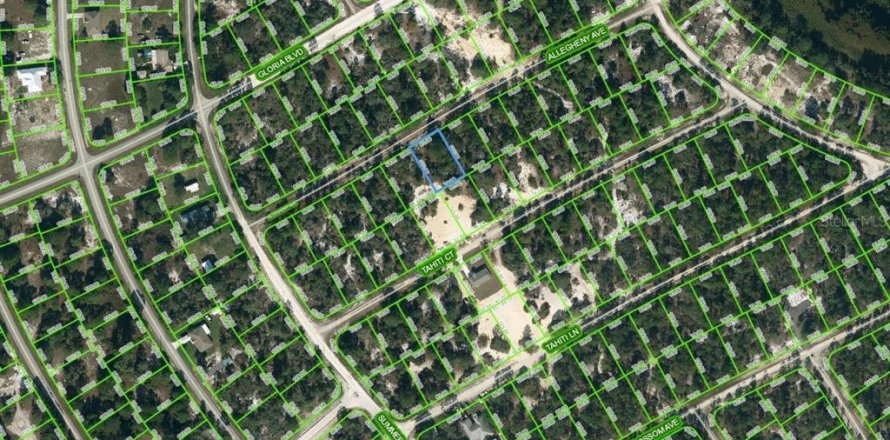 Земельный участок в Лейк-Плэсид, Флорида № 2209297