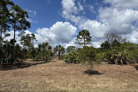 Land in Port Charlotte, Florida № 2165038 - photo 2