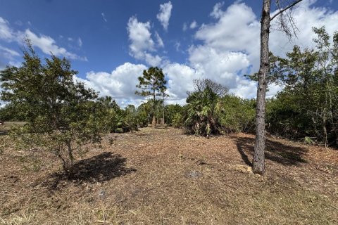 Land in Port Charlotte, Florida № 2165038 - photo 3