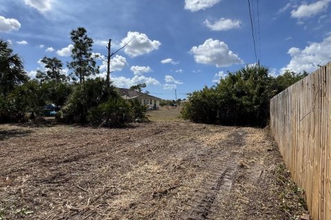 Land in Port Charlotte, Florida № 2165038 - photo 8