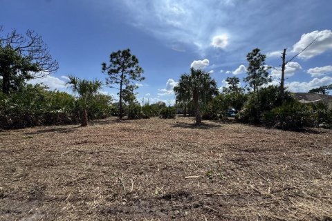 Land in Port Charlotte, Florida № 2165038 - photo 7