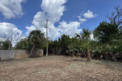 Land in Port Charlotte, Florida № 2165038 - photo 5