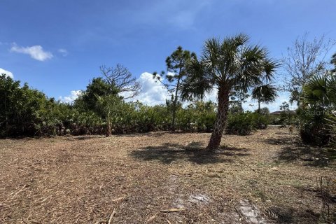 Land in Port Charlotte, Florida № 2165038 - photo 9