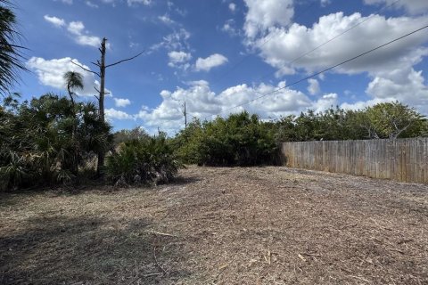 Land in Port Charlotte, Florida № 2165038 - photo 6