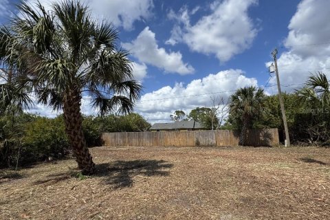 Land in Port Charlotte, Florida № 2165038 - photo 4