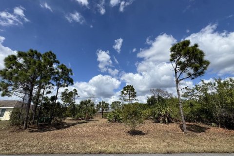 Terrain à Port Charlotte, Floride № 2165038