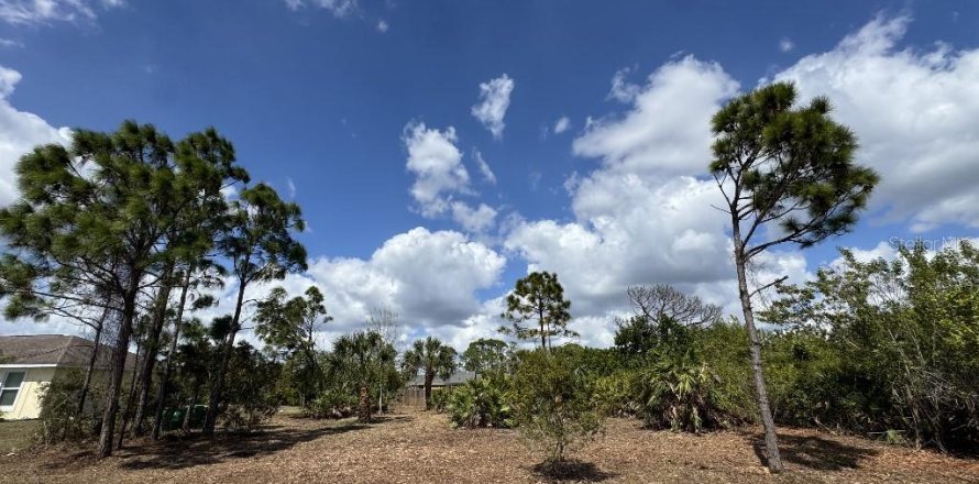 Land in Port Charlotte, Florida № 2165038