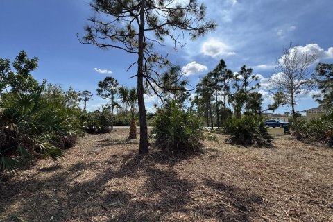 Land in Port Charlotte, Florida № 2165038 - photo 10