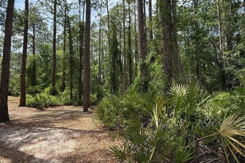 Land in Fort MC Coy, Florida № 2165227 - photo 4