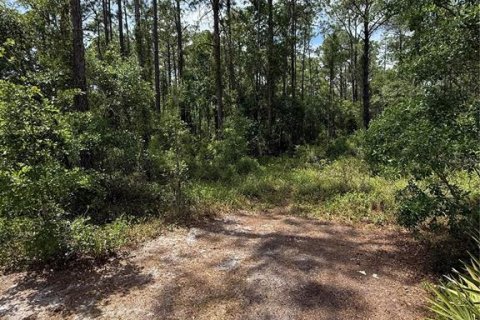 Land in Fort MC Coy, Florida № 2165227 - photo 3