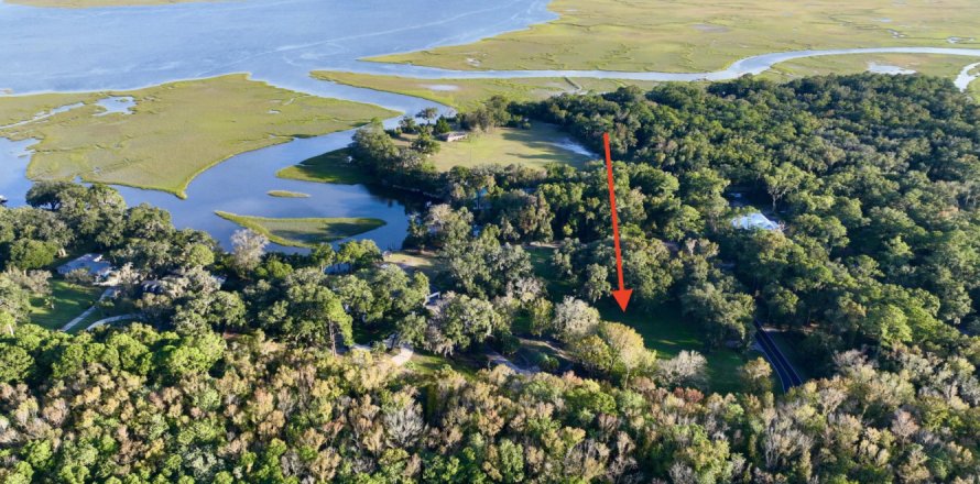 Land in Fernandina Beach, Florida № 765958