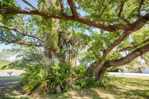 Commercial property in Rotonda, Florida 4 bedrooms, 218.97 sq.m. № 2214839 - photo 10