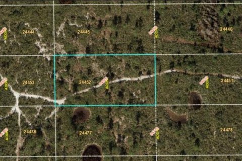 Land in Orlando, Florida № 2219148 - photo 2