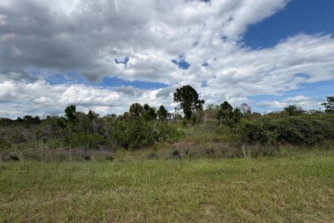 Propiedad comercial en venta en Okeechobee, Florida № 2158347 - foto 2