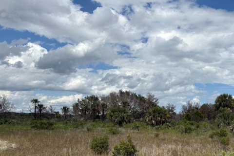 Propiedad comercial en Okeechobee, Florida № 2158347