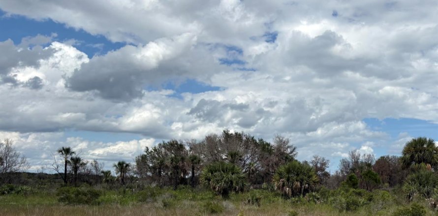Propiedad comercial en Okeechobee, Florida № 2158347
