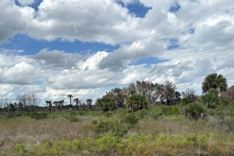 Propiedad comercial en venta en Okeechobee, Florida № 2158347 - foto 3