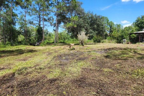 Terrain à Groveland, Floride № 2323323