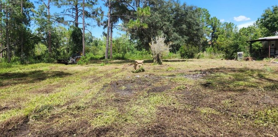 Terrain à Groveland, Floride № 2323323