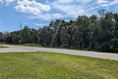 Immobilier commercial à vendre à Hudson, Floride № 1677338 - photo 3