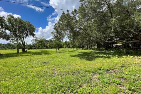 Land in Lakeland, Florida № 1886433 - photo 2