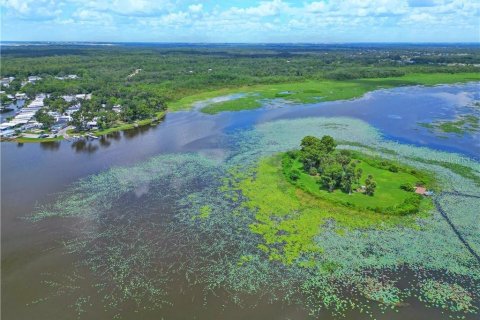 Villa ou maison à vendre à Lake Wales, Floride: 1 chambre, 47.84 m2 № 1909018 - photo 22