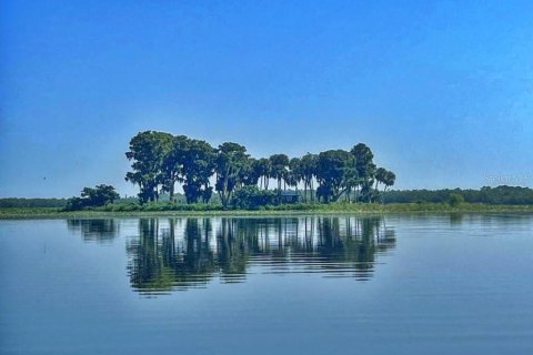 Villa ou maison à vendre à Lake Wales, Floride: 1 chambre, 47.84 m2 № 1909018 - photo 7