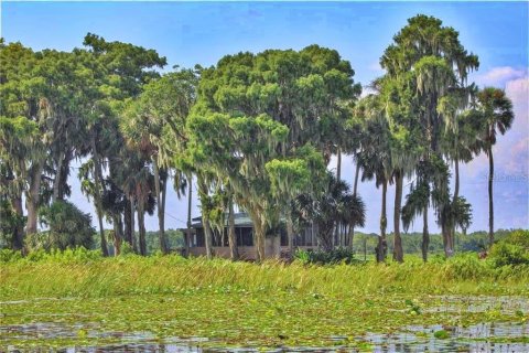 Villa ou maison à vendre à Lake Wales, Floride: 1 chambre, 47.84 m2 № 1909018 - photo 19