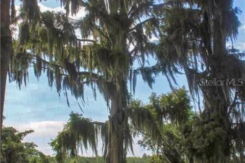 Villa ou maison à vendre à Lake Wales, Floride: 1 chambre, 47.84 m2 № 1909018 - photo 12