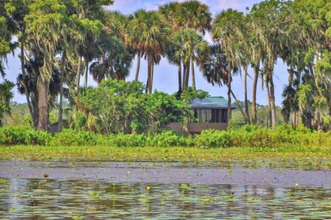 Villa ou maison à vendre à Lake Wales, Floride: 1 chambre, 47.84 m2 № 1909018 - photo 20