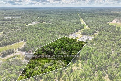 Land in Hawthorne, Florida № 2364061