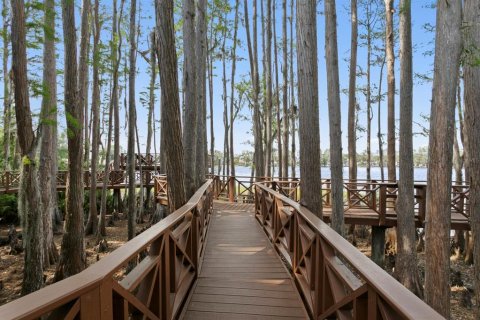 Купить виллу или дом в Одесса, Флорида 8 комнат, 295.71м2, № 2212213 - фото 6