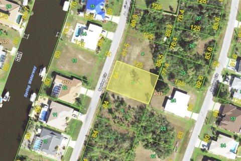 Land in Port Charlotte, Florida № 2165062