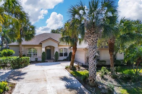 Villa ou maison à vendre à Palm Coast, Floride: 3 chambres, 228.45 m2 № 1900861 - photo 1