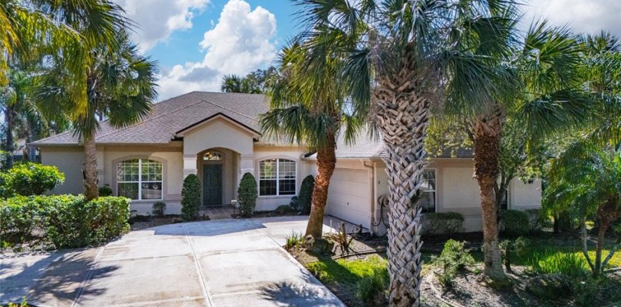Villa ou maison à Palm Coast, Floride 3 chambres, 228.45 m2 № 1900861