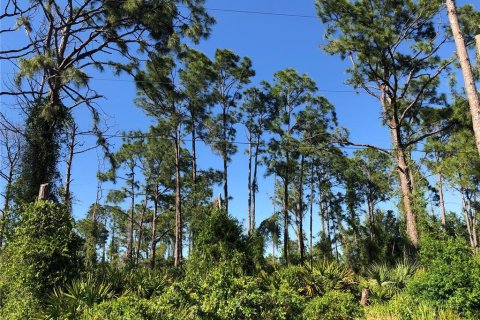 Land in North Port, Florida № 2229079 - photo 4