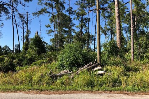 Terrain à North Port, Floride № 2229079