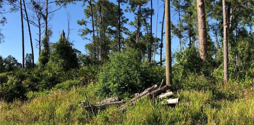 Land in North Port, Florida № 2229079