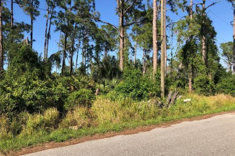 Land in North Port, Florida № 2229079 - photo 3