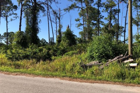 Land in North Port, Florida № 2229079 - photo 2