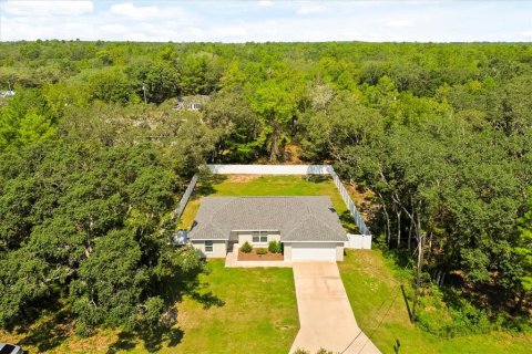 House in Ocklawaha, Florida 3 bedrooms, 136.75 sq.m. № 1910101 - photo 30