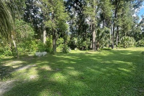 Land in Chiefland, Florida № 1885311 - photo 2
