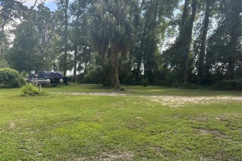 Land in Chiefland, Florida № 1885311 - photo 12