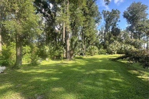 Land in Chiefland, Florida № 1885311 - photo 3
