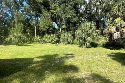 Land in Chiefland, Florida № 1885311 - photo 1